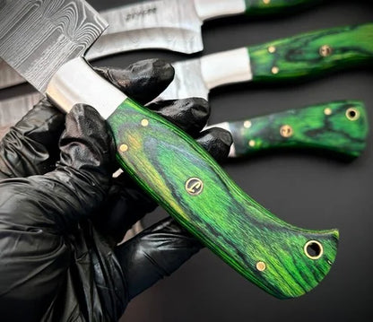 Handmade Damascus knives Set of 5 With Roll Over Bag-KDS4