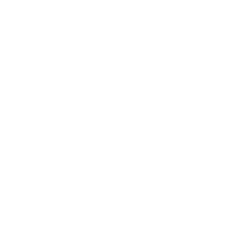 Premium Damascus Steel