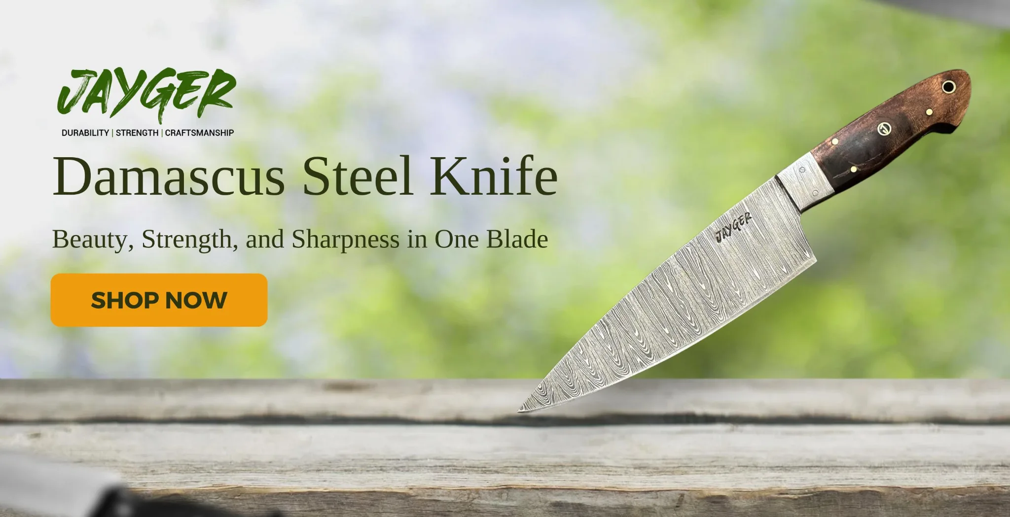 Damascus Steel Knife